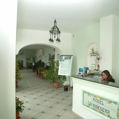 Hotel La Ginestra Forio di Ischia